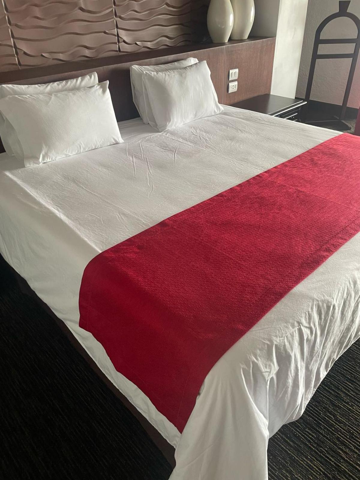 Radisson Hotel Tapatio Guadalajara Aeropuerto 틀라케파케 외부 사진